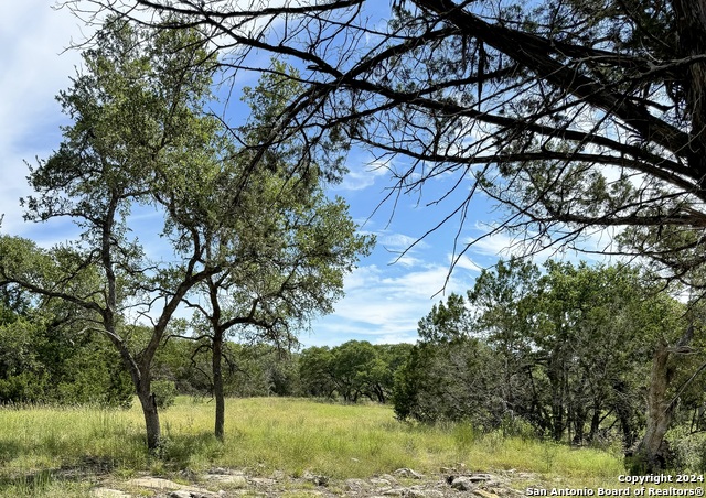 34753 Carries Creek Property Photo 4