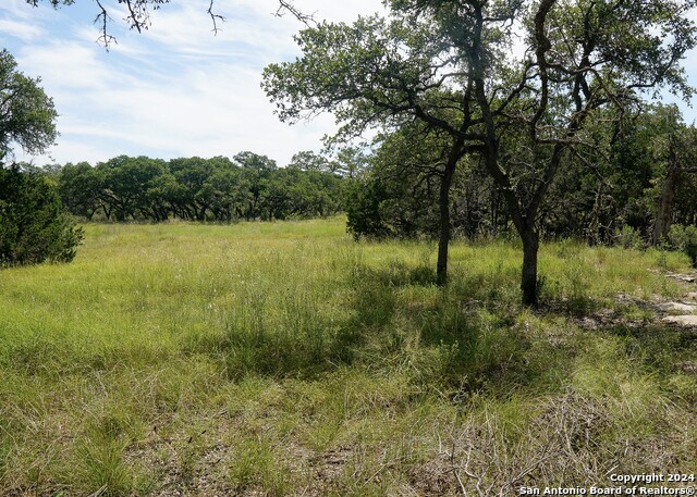 34753 Carries Creek Property Photo 5
