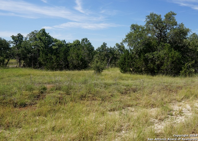 34753 Carries Creek Property Photo 6