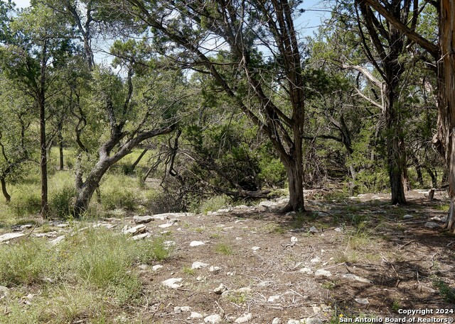 34753 Carries Creek Property Photo 7