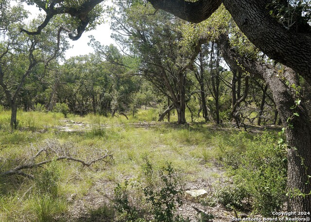 34753 Carries Creek Property Photo 9