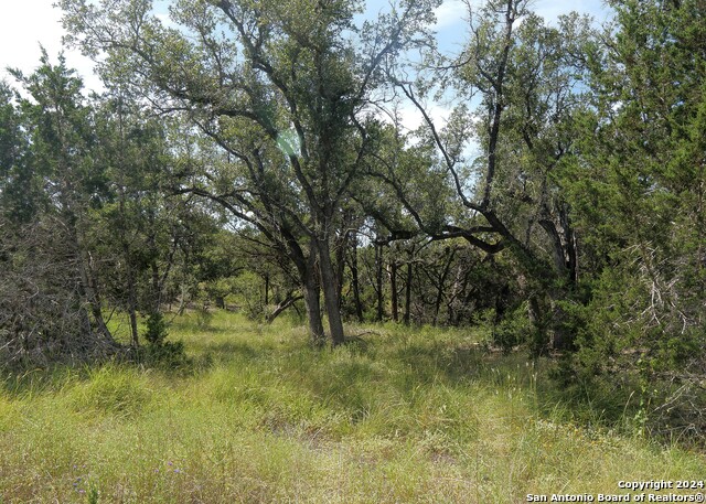 34753 Carries Creek Property Photo 10