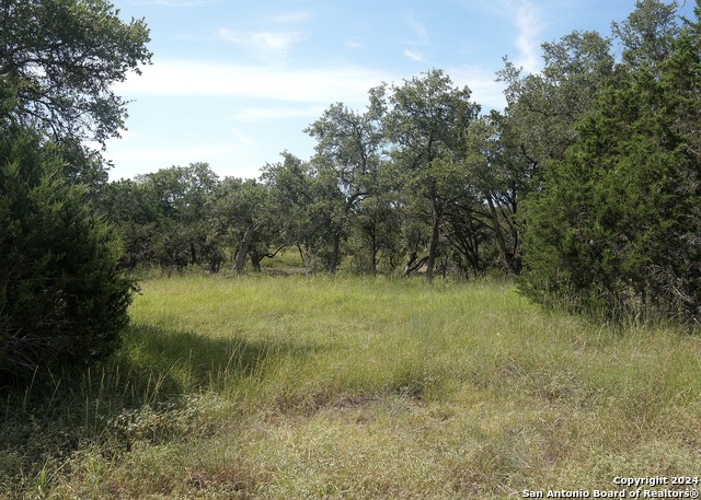 34753 Carries Creek Property Photo 11