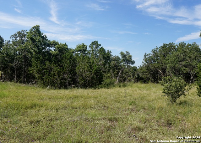 34753 Carries Creek Property Photo 12
