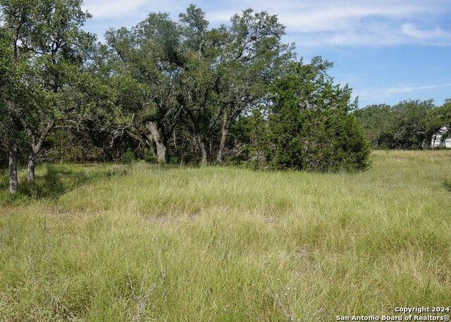 34753 Carries Creek Property Photo 13