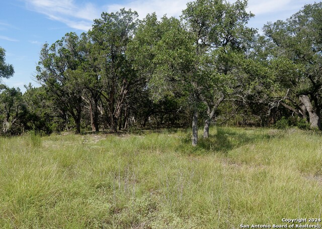 34753 Carries Creek Property Photo 14