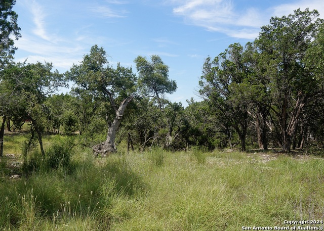 34753 Carries Creek Property Photo 15