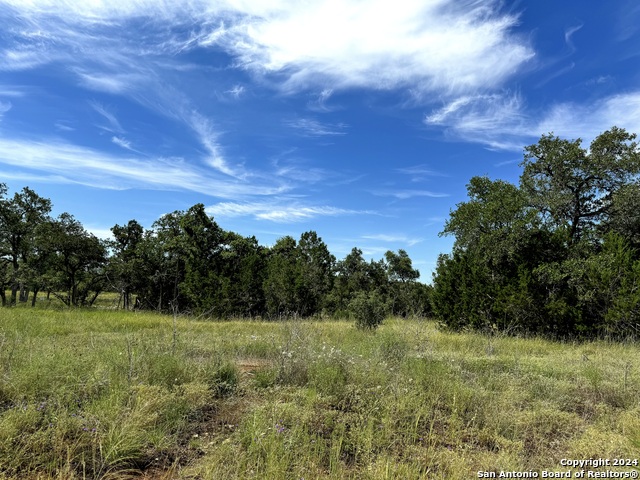 34753 Carries Creek Property Photo 17