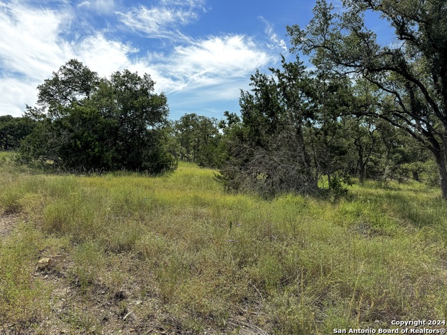 34753 Carries Creek Property Photo 18