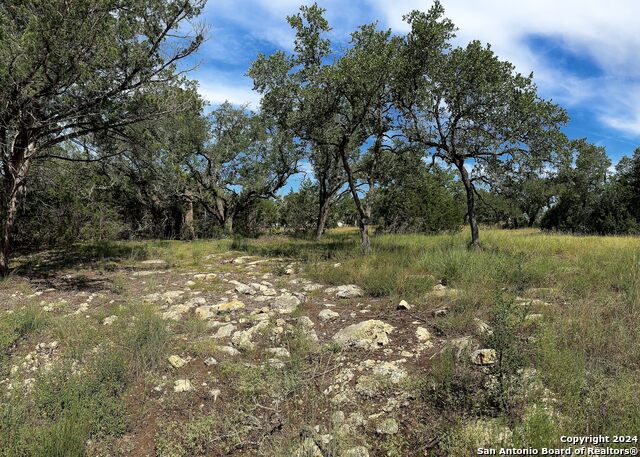 34753 Carries Creek Property Photo 19