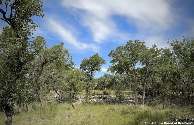 34753 Carries Creek Property Photo 21