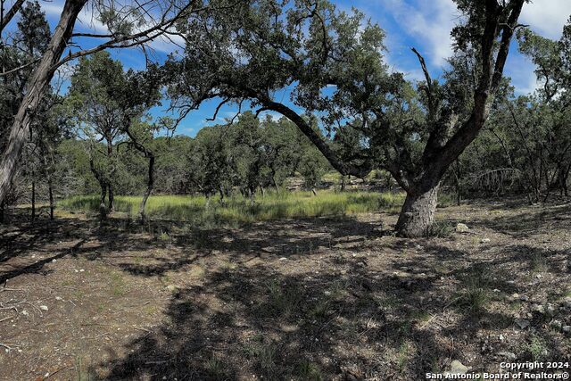34753 Carries Creek Property Photo 22