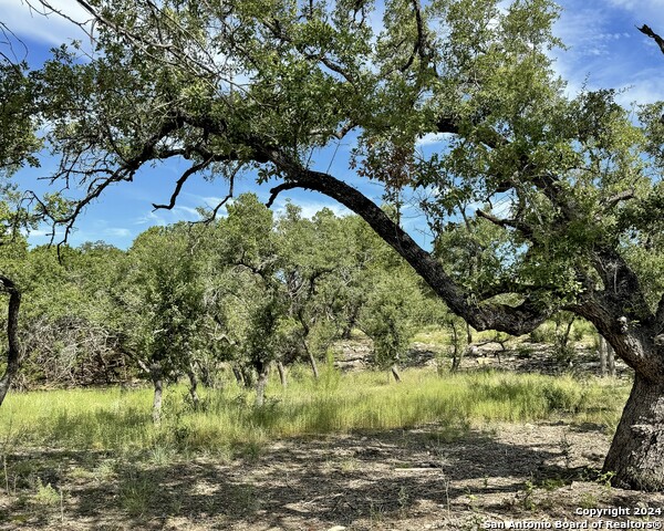 34753 Carries Creek Property Photo 23