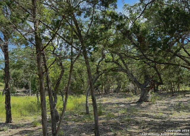 34753 Carries Creek Property Photo 24