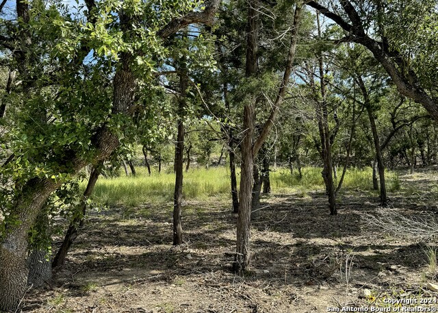 34753 Carries Creek Property Photo 25