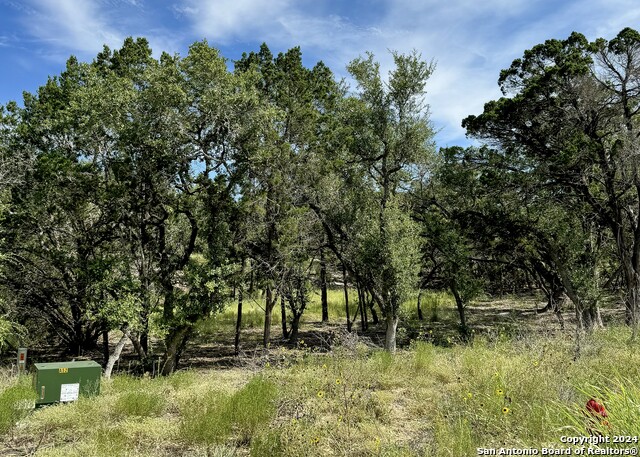 34753 Carries Creek Property Photo 26