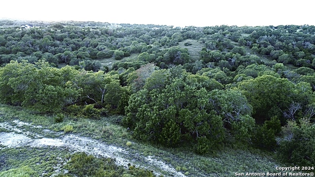 Lot 49 Twisted Oak Property Photo 6