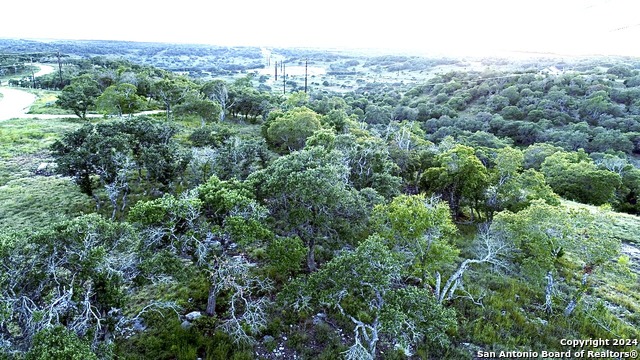 Lot 49 Twisted Oak Property Photo 7