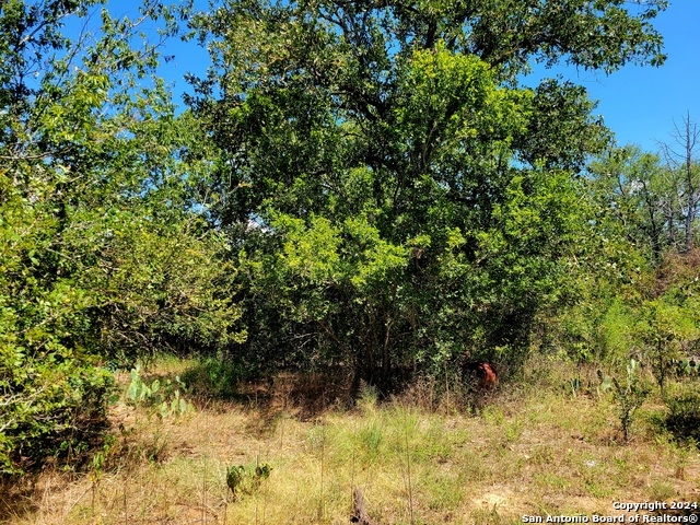 Tbd Dale Ln Property Photo 2