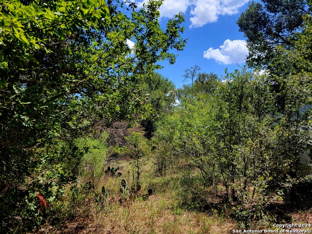 Tbd Dale Ln Property Photo 3