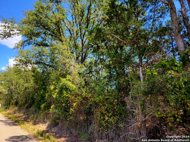 Tbd Dale Ln Property Photo 5