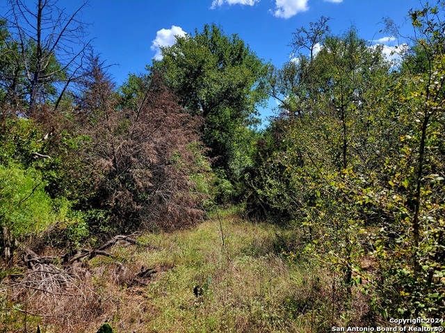 Tbd Dale Ln Property Photo 8