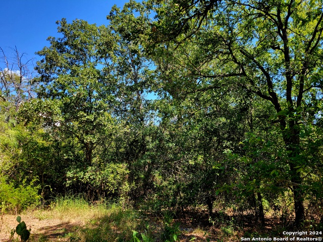 Tbd Dale Ln Property Photo 9