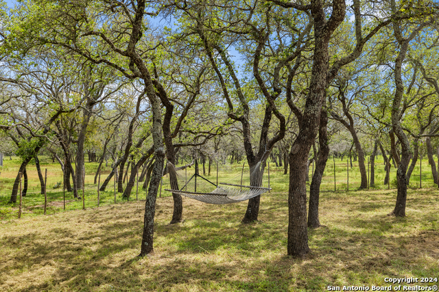 2631 Us Highway 281 Property Photo 25