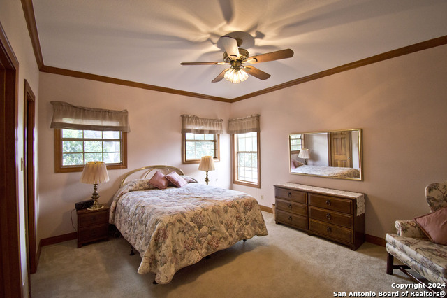 9 Scarborough Sq Property Photo 32