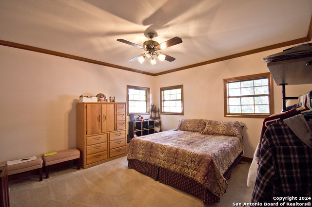 9 Scarborough Sq Property Photo 41