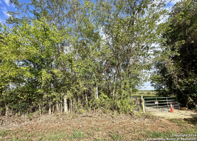 14150 Luckey Rd Property Photo 6
