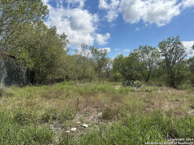 14150 Luckey Rd Property Photo 11