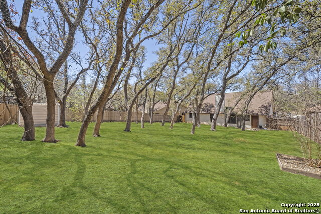 9306 Thornbury St Property Photo 26