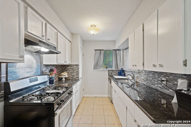 310 Radiance Dr Property Photo 4