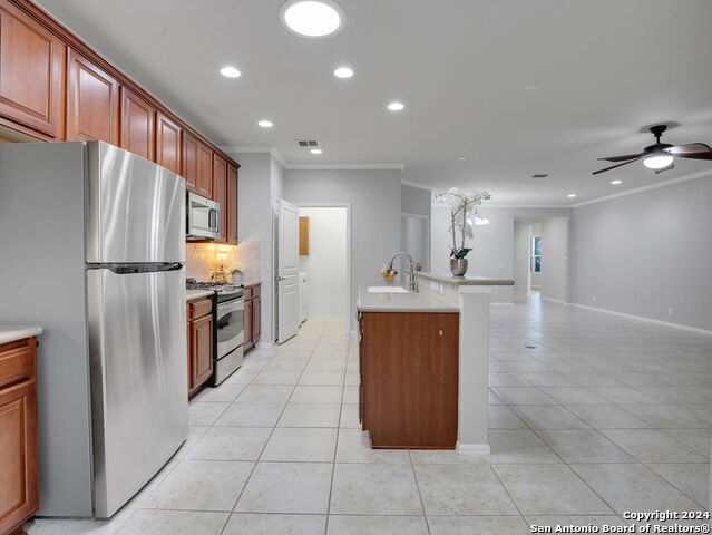 12526 Rapids Pass Property Photo 14