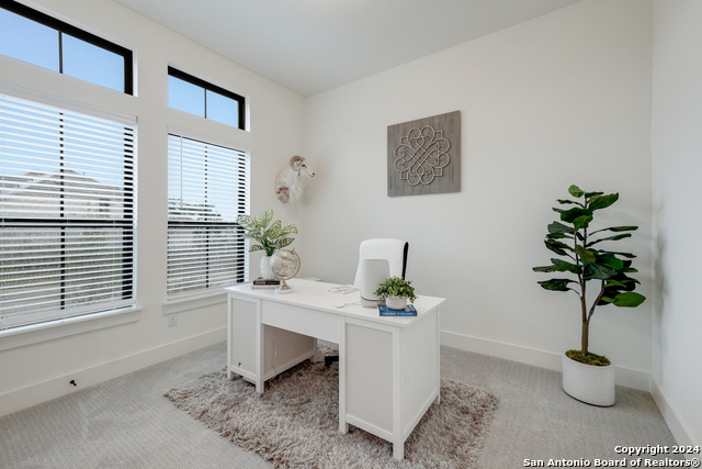 28415 Seppenfield Property Photo 3