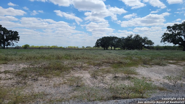 130 Firewheel Loop Property Photo 1