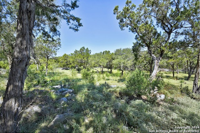 28764 Sierra Dr Property Photo 28