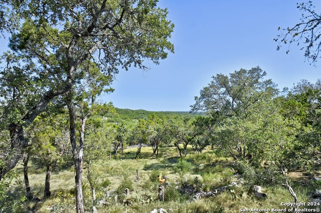 28764 Sierra Dr Property Photo 29