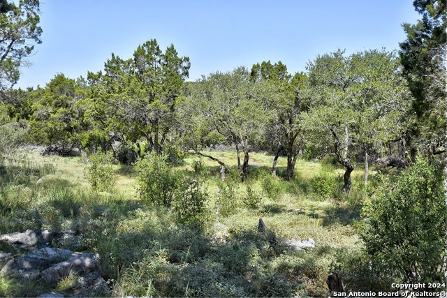 28764 Sierra Dr Property Photo 30