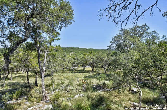 28764 Sierra Dr Property Photo 39