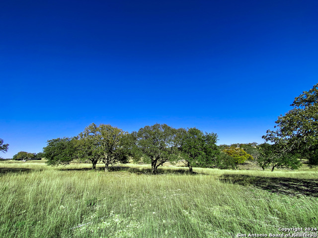 LOT 155 Loma Vista Ranch Property Photo 1