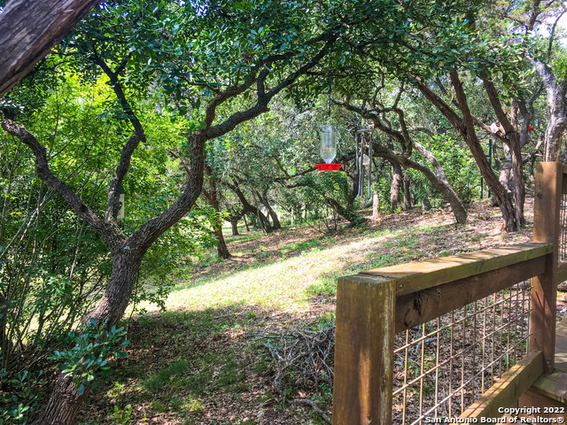 208 Scenic Mountain Dr Property Photo 37