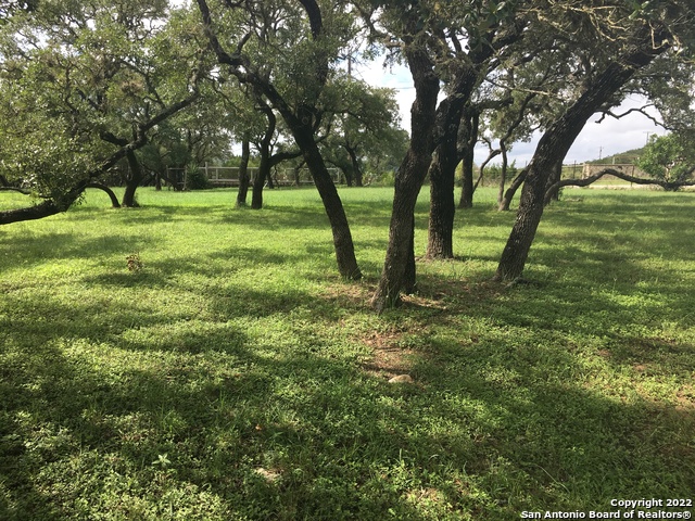 208 Scenic Mountain Dr Property Photo 39