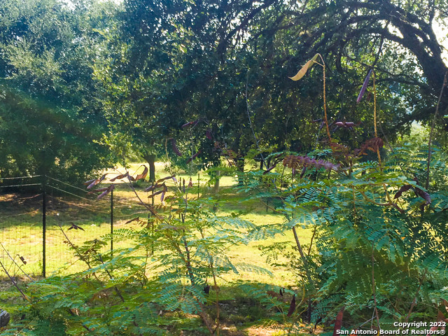 208 Scenic Mountain Dr Property Photo 42