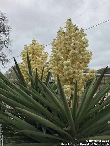 208 Scenic Mountain Dr Property Photo 62