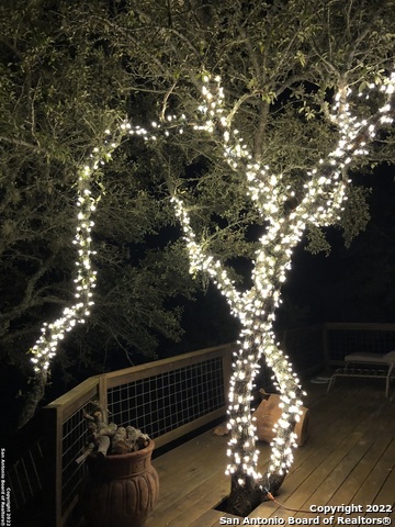 208 Scenic Mountain Dr Property Photo 64