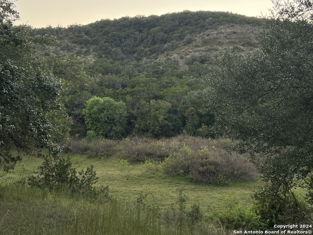 2150 The Low Rd Property Photo 6