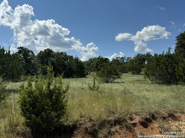 114 Peter Kleid Loop Property Photo 6