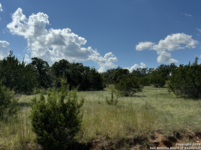 114 Peter Kleid Loop Property Photo 7